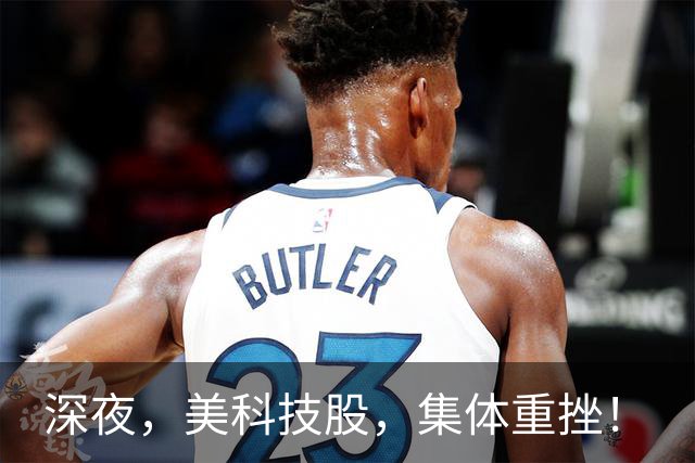 深夜,美科技股,集体重挫!